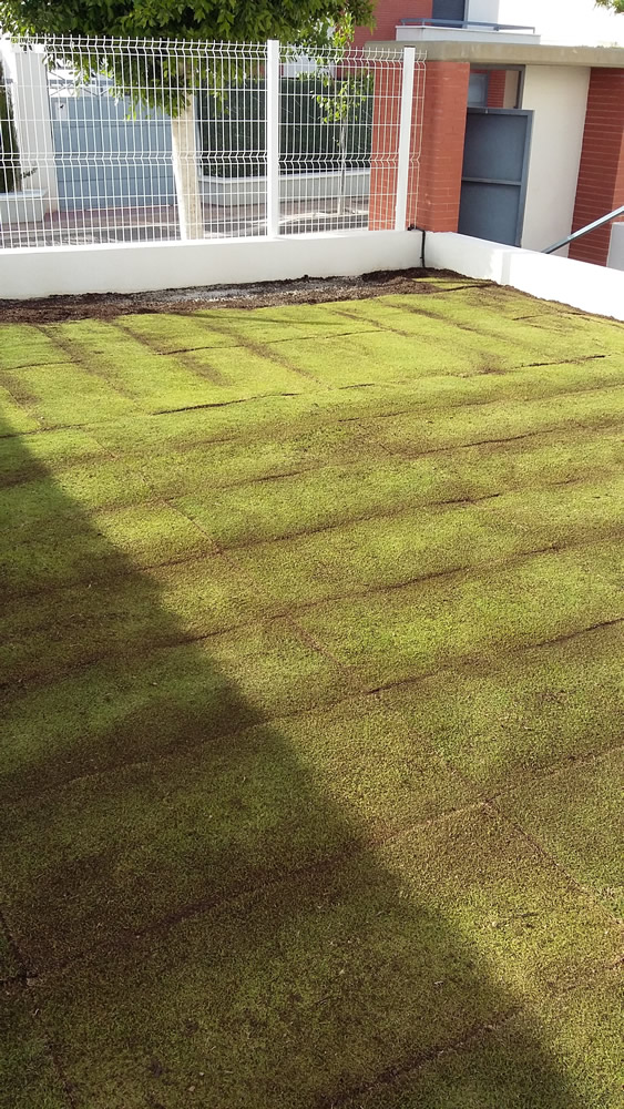 Acondicionamiento de terreno para plantar cesped natural