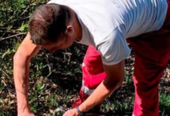 Jardinería servicio Jardinería servicio