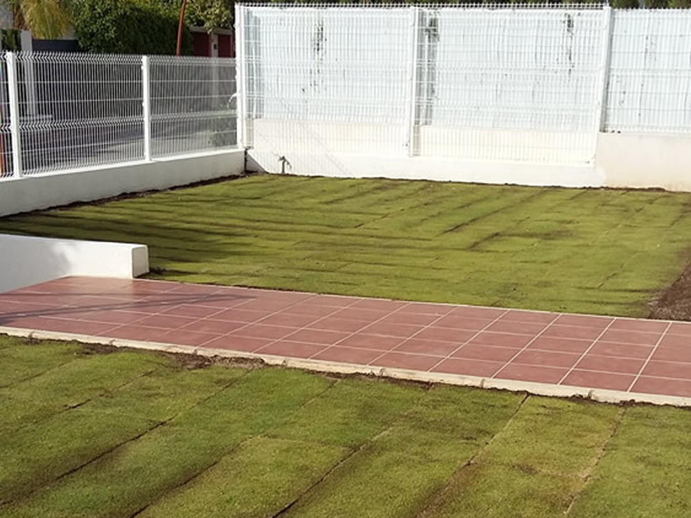 Limpieza de césped Limpieza de césped